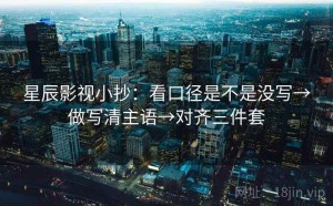 星辰影视小抄：看口径是不是没写→做写清主语→对齐三件套