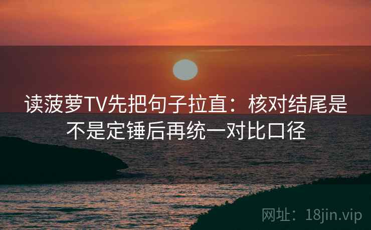 读菠萝TV先把句子拉直：核对结尾是不是定锤后再统一对比口径